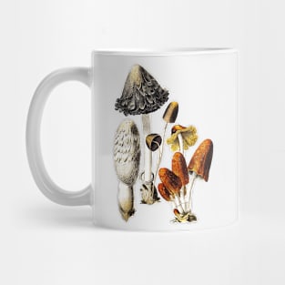 Mushrooms and Fungi Mug